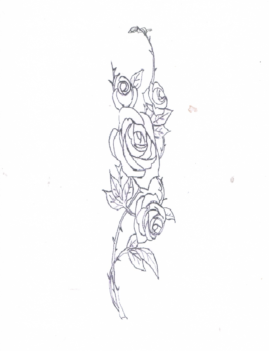 Rose drawing
